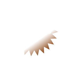 IHR Wunsch- fahrzeug